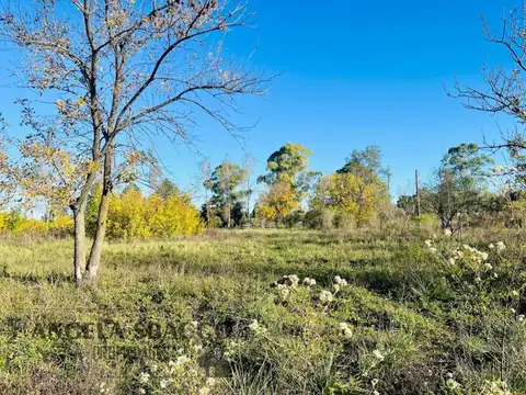 Terreno en Venta de 790,0 m2