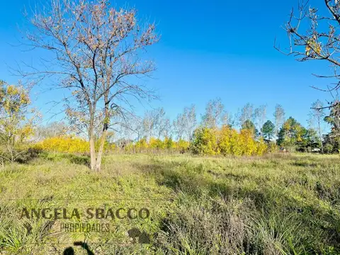 Terreno en Venta en Molino Blanco, USD 17.500