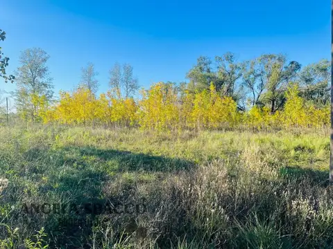 Salamanca, Molino Blanco.