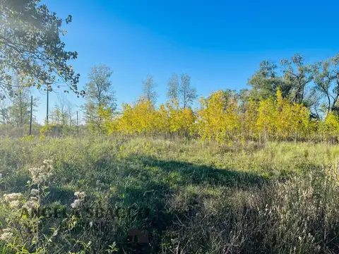 Salamanca, Molino Blanco.
