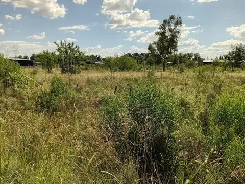 VENTA LOTE 5.000M2 EN GRAL. RODRIGUEZ RUTA 24