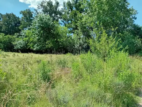 Terreno en Venta en General Rodríguez, USD 65.000