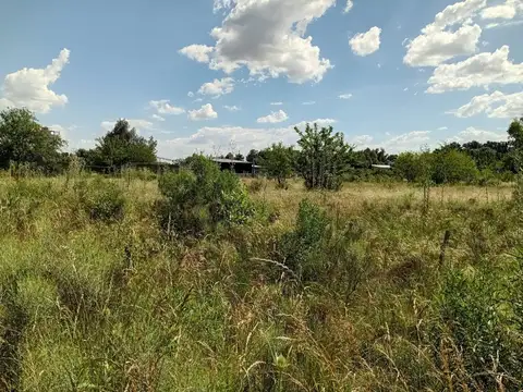 Rio Pico 100