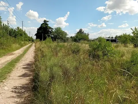 Rio Pico 100