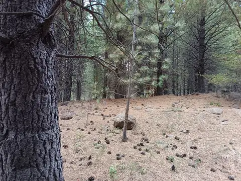 Lote  en Venta en San Martin de los Andes, Patagonia, Argentina