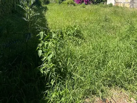 Lote comercial alquiler sobre Av Blanco Encalada San Isidro