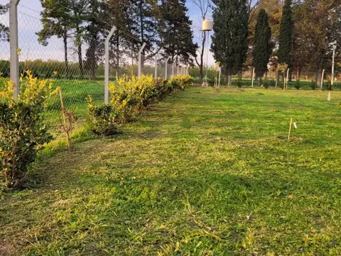 Terreno en Venta de 1200,0 m2