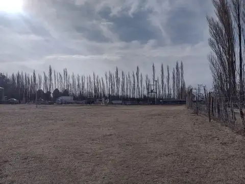 Ruta Nacional 22 y Acceso Biló 100