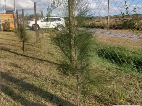 Terreno en Venta de 600,0 m2