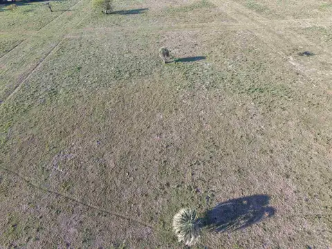 Lotes en venta Colonia Porvenir
