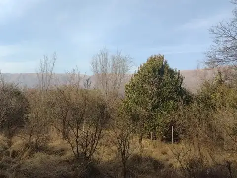 Lote En Venta En Carpinteria