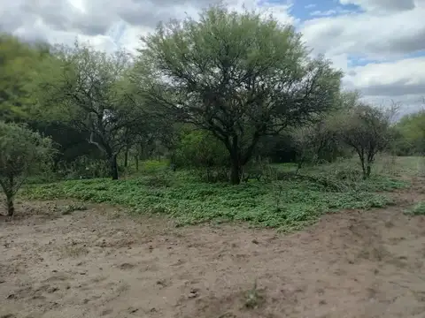 Terreno en Venta 40  mts Frente