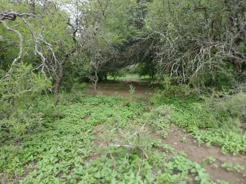 Terreno en Venta en Altos De Carpinteria, USD 66.000