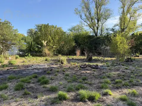 Terreno  En Venta - Francisco Alvarez, Moreno