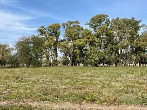 Terreno  En Venta - Francisco Alvarez, Moreno