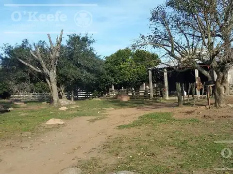 Campo en venta de 876 has Cerro Largo, Uruguay