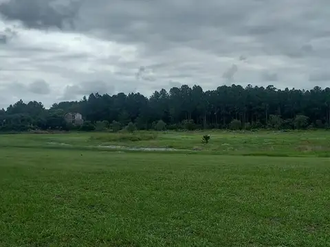 Terreno en Venta de 1200,0 m2