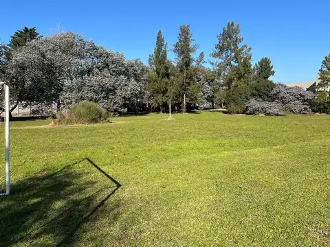 Casuarinas del Pilar 100