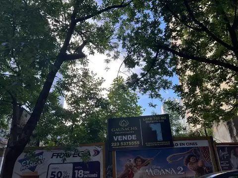 Terreno apto edificio de viviendas y/u oficinas 