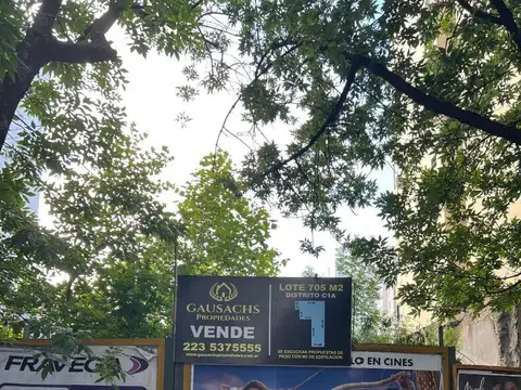 Bartolomé Mitre 2000