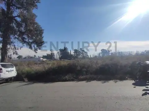 Terreno en Venta de 4943,0 m2