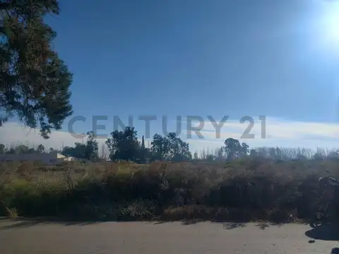 VENTA DE TERRENO EN COLONIA SEGOVIA, GUAYMALLÉN, MENDOZA- ID: 359326