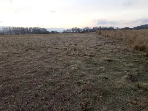 Terreno en Venta de 1300,0 m2