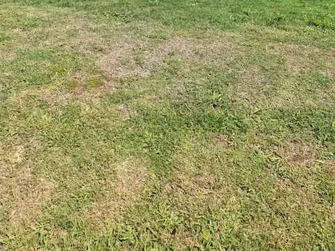 Terreno Lote  en Venta en Haras San Pablo, General Rodríguez, G.B.A. Zona Oeste