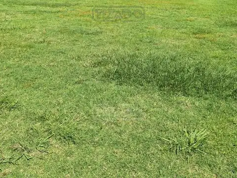 Haras San Pablo Club de Campo 100