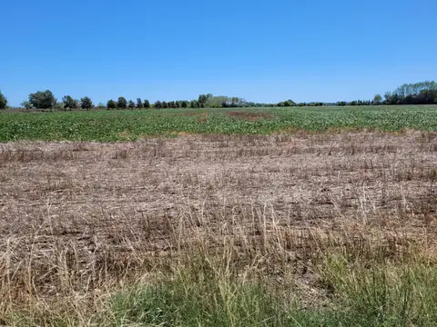 Campo en Venta con Alambrado