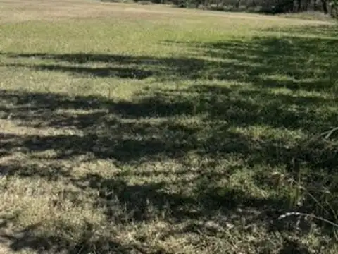 Terreno en Venta de 3019,0 m2