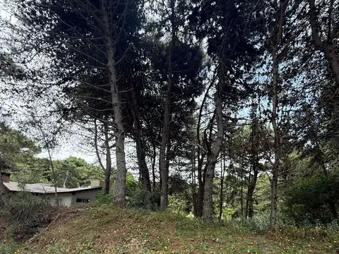 Terreno en Venta en Costa del Este, USD 54.000