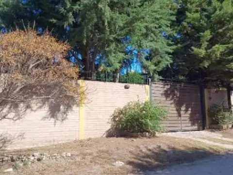 Teniente Primero Bustos y Capitán Krause