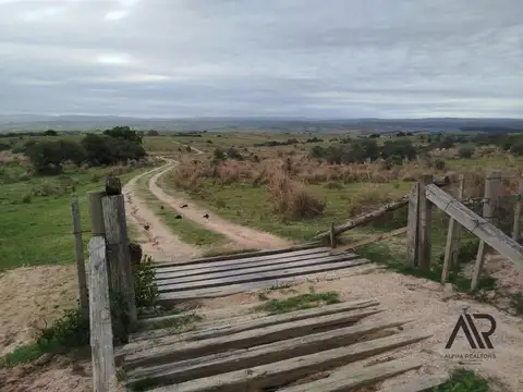 Gran Oportunidad 22 Ha En Garzón/maldondado, A 8 Km Del Pueblo.