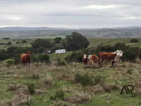 Gran Oportunidad 22 Ha En Garzón/maldondado, A 8 Km Del Pueblo.