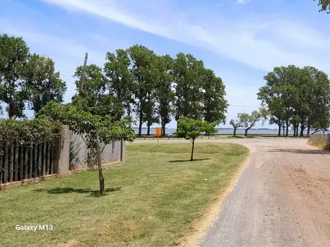 TRES ARROYOS Y AVELLANEDA 100