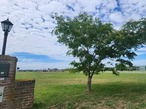 Terreno en Venta de 2000,0 m2