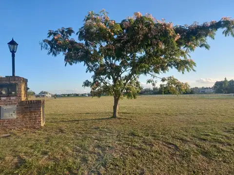 Terreno en Venta en Lujan, USD 26.000