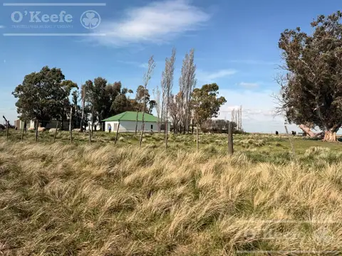 Campo mixto en venta de 667 has - Gonzalez Chaves.