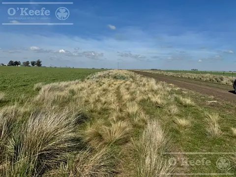 Campo mixto en venta de 667 has - Gonzalez Chaves.