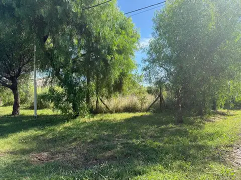 Las Marimonias 600