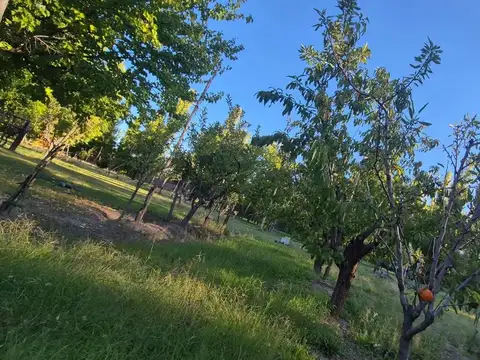El Moro 3400
