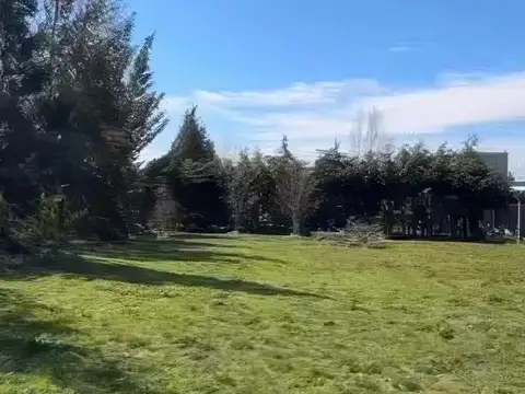 Terreno en Venta de 817,0 m2
