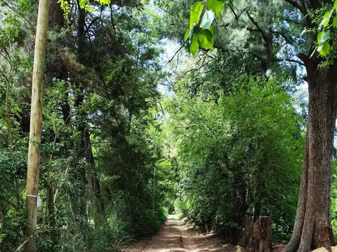 Terreno en Venta de 600,0 m2