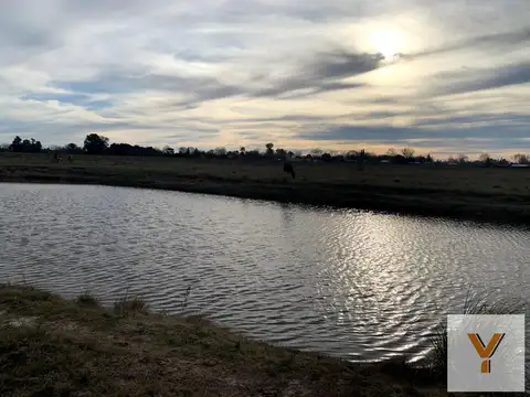 Terreno en Venta en Máximo Paz, USD 24.500
