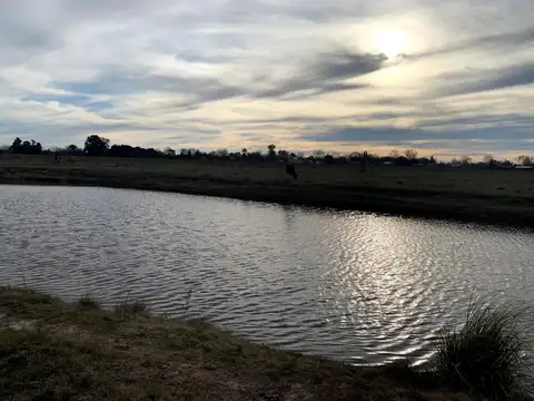 Terreno en Venta de 1000,0 m2