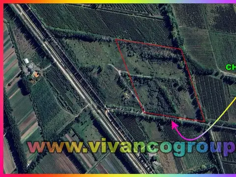 Chacra 5 has. sin plantaciones a desmalezar y limpiar en Centenario