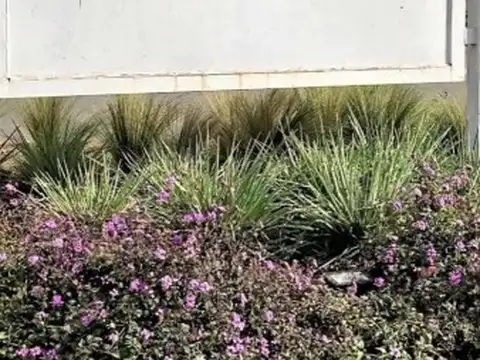 Terreno Lote  en Venta en Santa Elena, Pilar del Este, Pilar