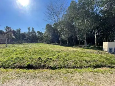 Terreno - Venta - Argentina, Villa Elisa