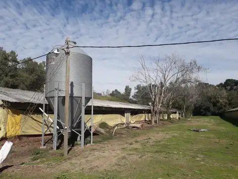 Campo en Venta de 2  ha